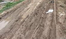 泥巴爆料大全视频,揭秘热门视频背后的惊人真相